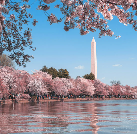 About Audio Visual-Systems-Washington DC